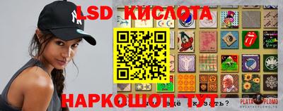 кокс Кингисепп