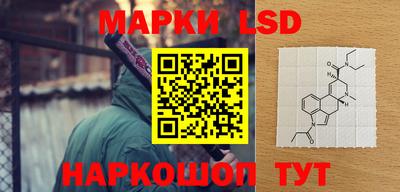 кокс Кингисепп