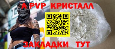 кокс Кингисепп