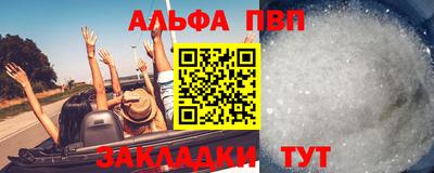 кокс Кингисепп