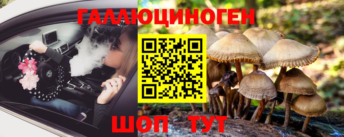 Псилоцибиновые грибы Psilocybine cubensis  Вход с VPN  Псилоцибиновые грибы ЛСД  как найти закладки  Истра 